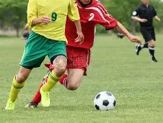 莫塔未收到,下课通知,预计今晚重,香港赛马会,香港赛马,赛马活动,马会资讯