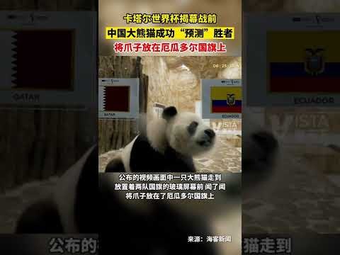 新政解读,揭秘中小学,体育教改新,香港赛马会,香港赛马,赛马活动,马会资讯