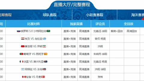 勒沃库森领跑德甲积分榜