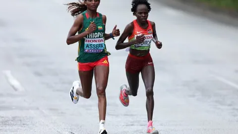 王少杰回归CBA，广东宏远加强实力，山西队签下外籍球员